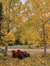 Poster perfect Beautiful Autumn colors landscape Royalty Free Stock Photo