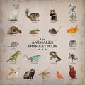 Poster of pets in spanich Royalty Free Stock Photo