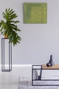 Poster and plant in minimal grey living room interior with wooden table on rug. Real photo