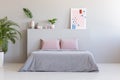 Poster and plants on bedhead of bed with pink cushions in grey b