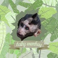 Poster with a polygonal portrait of a cute monkey baby