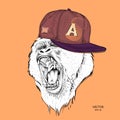 The poster with the portrait of the Ape in hip-hop cap. Leader of a pack of gorillas. Aggressive monkey. Vector illustration