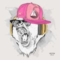 The poster with the portrait of the Ape in hip-hop cap. Leader of a pack of gorillas. Aggressive monkey. Vector illustration Royalty Free Stock Photo