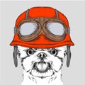 The poster with the portrait of the dog wearing the motorcycle helmet. Yorkshire Terrier. Vector illustration.
