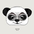 The poster with the portrait of the panda wearing the motorcycle glasses. Vector illustration.