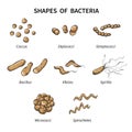 Poster shapes of bacteria on white background