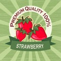 Poster template for strawberry farm. Fruit label design.