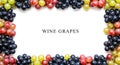 A poster of wine grapes isolated on a white background. Grape pattern in different varieties, top view, flat tile. Food background