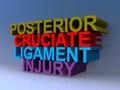 Posterior cruciate ligament injury