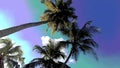 Posterize noise effect of coconut trees