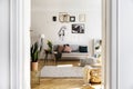 Posters above couch with cushions in white apartment interior with plant next to carpet. Real photo Royalty Free Stock Photo