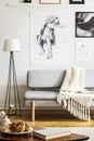 Posters above grey sofa with blanket next to lamp in simple living room interior. Real photo