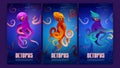Posters with octopuses underwater in sea Royalty Free Stock Photo