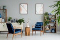 Posters and plants in bright living room interior with navy blue armchairs and flowers. Real photo Royalty Free Stock Photo