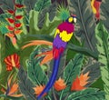 Posters tropical flora and fauna, Tropical, plant, parrot background