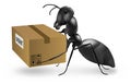 Postman mailman ant deliver urgent package Royalty Free Stock Photo