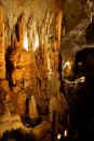 Postojna cave