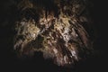 Cave Postojna roof with numerous stalactites and stalagmites