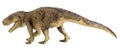 Postosuchus Dinosaur on isolate background Royalty Free Stock Photo