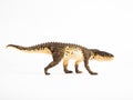 Postosuchus Dinosaur on white background Royalty Free Stock Photo