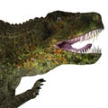 Postosuchus Reptile Head Royalty Free Stock Photo