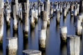Posts of an abandoned pier