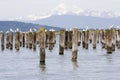 Posts adn Mount Baker