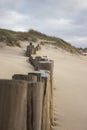 Posts on beach