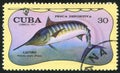 Poststamp fish