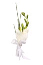 Posy bouquet Royalty Free Stock Photo