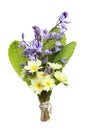 Posy of flowers Royalty Free Stock Photo