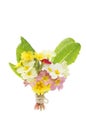 Posy of Spring flowers Royalty Free Stock Photo