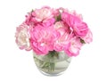 Posy in vase Royalty Free Stock Photo