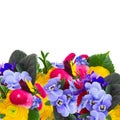 Posy of violets, pansies and ranunculus Royalty Free Stock Photo