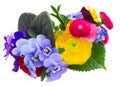 Posy of violets, pansies and ranunculus Royalty Free Stock Photo