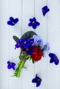 Posy of violets, pansies and ranunculus Royalty Free Stock Photo