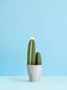 Creative three-dimensional paper cactuses for minimalist design. Royalty Free Stock Photo