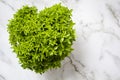 Pot of basil called manjerico, a traditional plant of portuguese popular saints on marble background. Top view with copy space