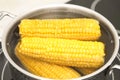 Pot with boiling fresh corn on cooktop Royalty Free Stock Photo