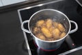 Pot with boiling water and potatoes on stove