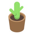 Pot cactus icon, isometric style