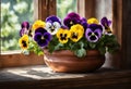A pot of colorful pansies on a windowsill
