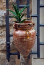 Pot is conical in shape with aloe is hanging on the wall in Kotor Royalty Free Stock Photo