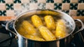 A pot of corn on the cob being cooked in a pan, AI Royalty Free Stock Photo
