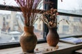 Pot with dry dried flowers. clay pot on the window