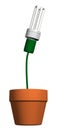 Pot with energy saving bulb