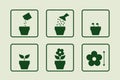 pot flower growing, set of icons, plant labels for flower seed packet, green vector icon, yearly timeline Royalty Free Stock Photo