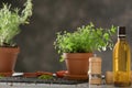 Pot with fresh oregano, spices and oil on table Royalty Free Stock Photo