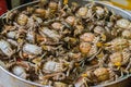 Pot full of Crabs