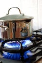 Pot on a gas stove Royalty Free Stock Photo